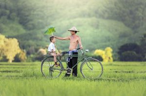Agence voyage Vietnam : conseils, choix optimal