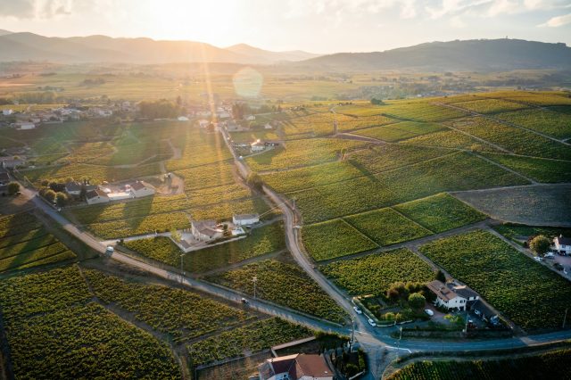 la Route des Beaujolais