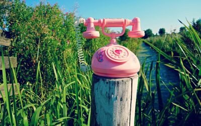 Qu'est-ce qui pousse à l'amour virtuel