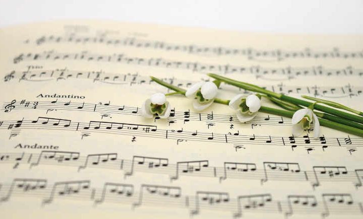 notes de musique pour une animation