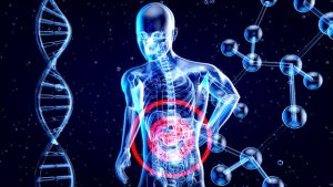 système immunitaire