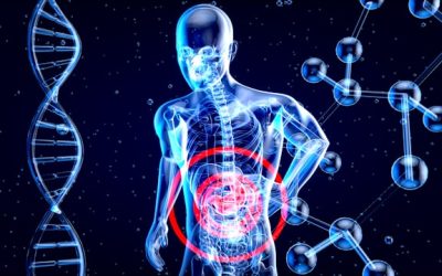 système immunitaire