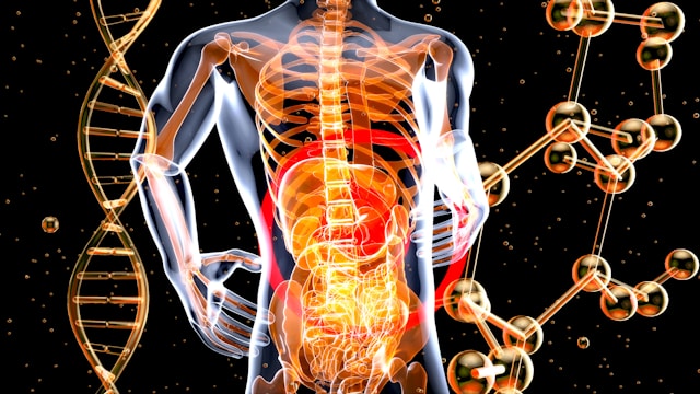 Microbiote intérieur