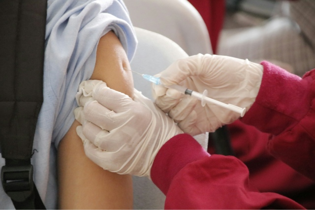Vaccins et immunité